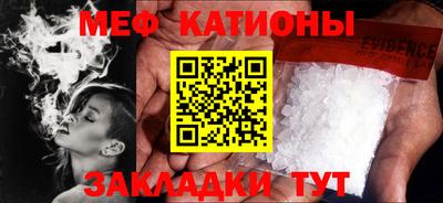шишки Заводоуковск