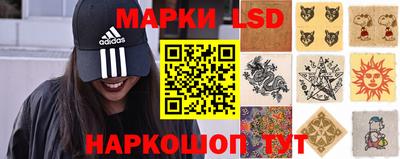 ПСИЛОЦИБИНОВЫЕ ГРИБЫ Заволжье