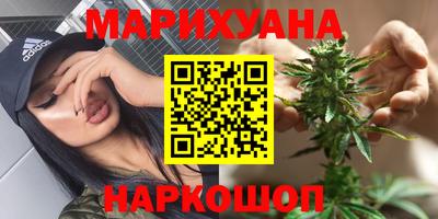 шишки Изобильный