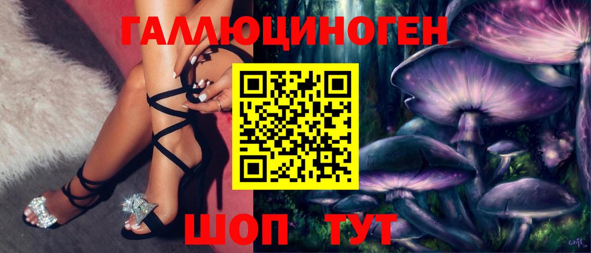 где купить наркоту  Псилоцибиновые грибы мухоморы  Вход с VPN  Волоколамск 